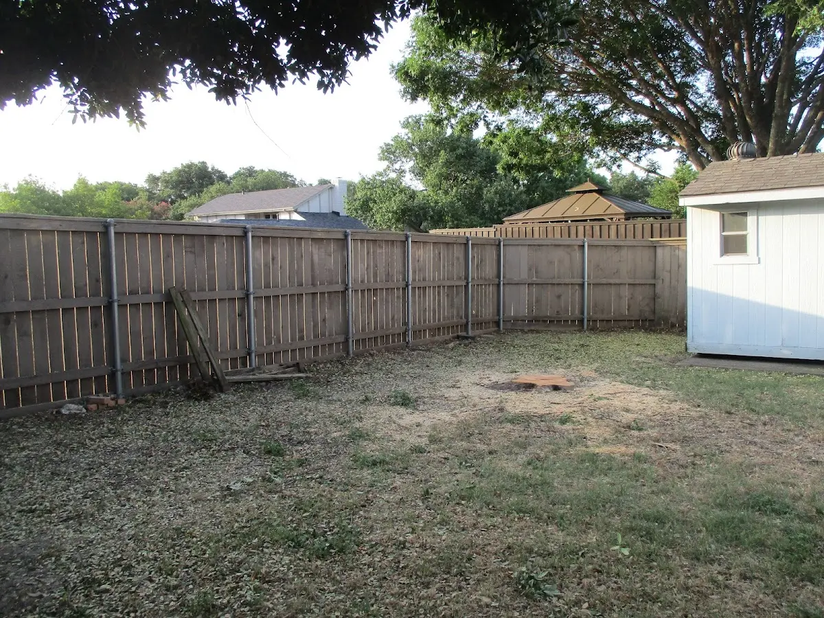 Cleared yard after professional tree removal in Beaver